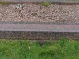 image of grave number 636336